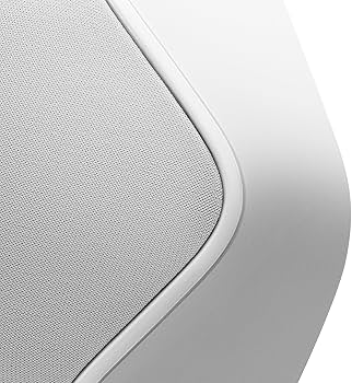Amazon.com: B&O Play by Bang & Olufsen 1625325 Beoplay S3